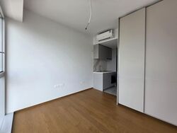 Dunman Road (D15), Condominium #610842521